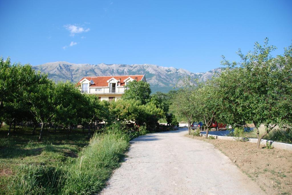 Apartments Ivetic Kotor Dış mekan fotoğraf